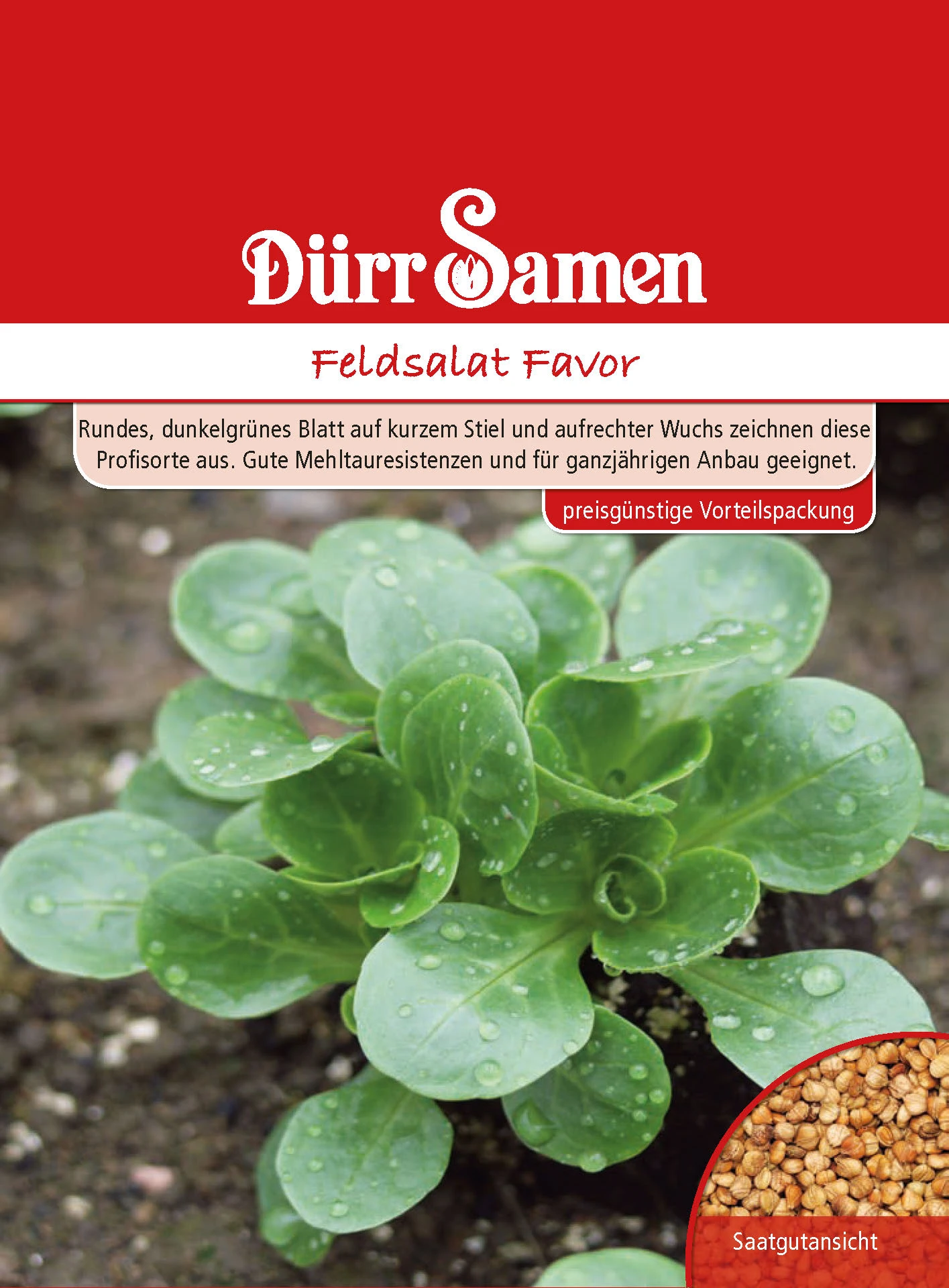Feldsalat Favor | Feldsalatsamen Von Dürr Samen