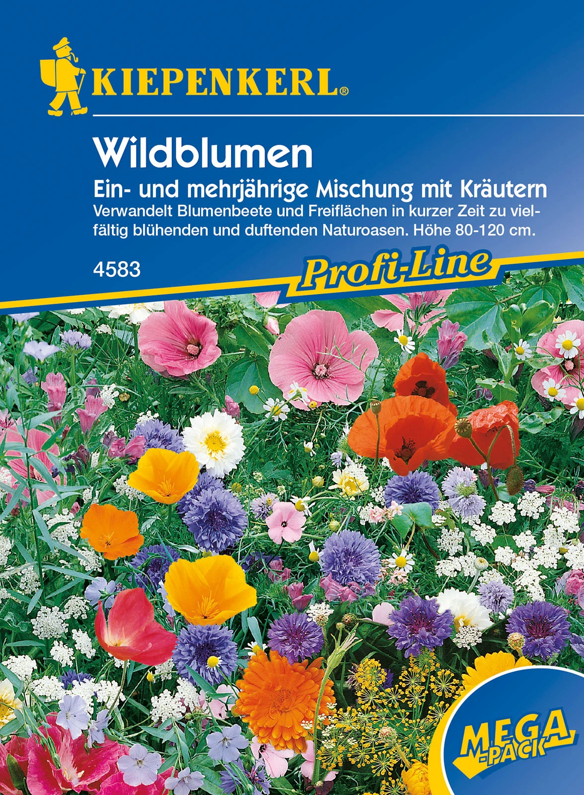 Wildblumen Ein - Und Mehrjährige Mischung Mit Kräutern | Wildblumensamen Von Kiepenkerl 4 Wildblumen Ein - Und Mehrjährige Mischung Mit Kräutern | Wildblumensamen Von Kiepenkerl – Bild 2