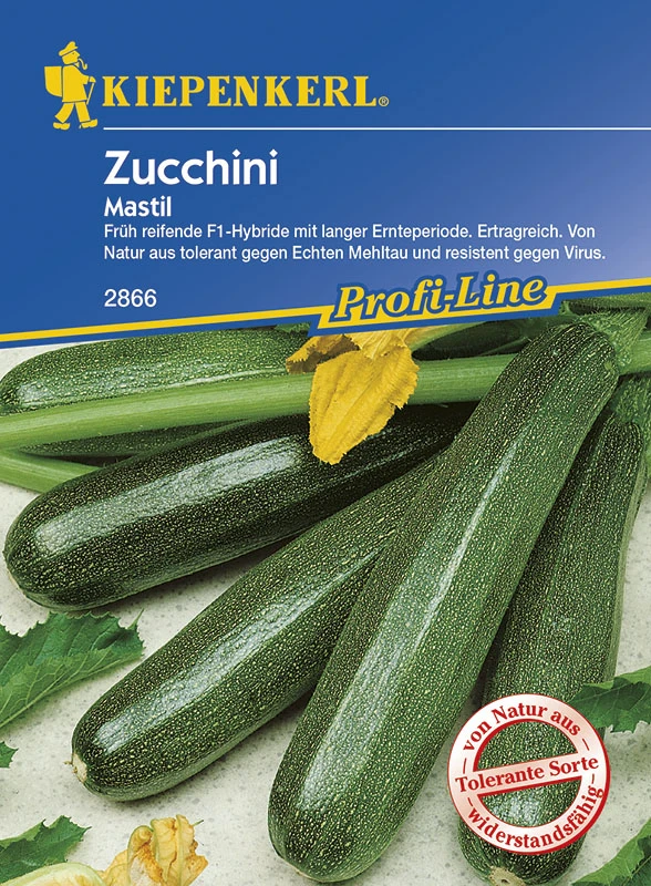 Zucchini Mastil F1 | Zucchinisamen Von Kiepenkerl 4 Zucchini Mastil F1 | Zucchinisamen Von Kiepenkerl – Bild 2