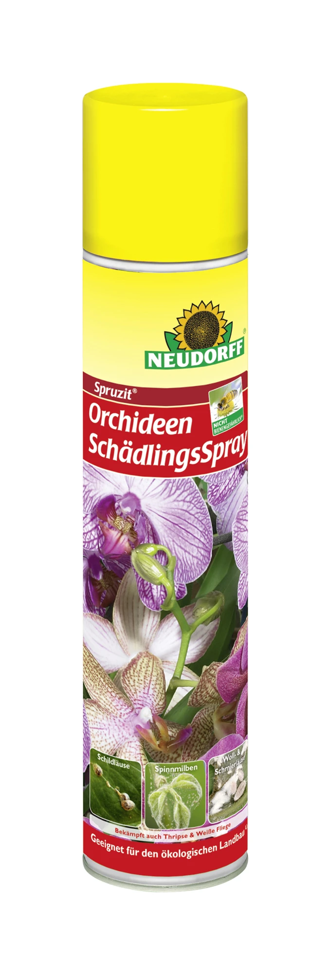 Spruzit OrchideenSchädlingsSpray (300 Ml) | Pflanzenschutz & Dünger Von Neudorff 3 Spruzit OrchideenSchädlingsSpray (300 Ml) | Pflanzenschutz & Dünger Von Neudorff