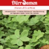 Gründünger Alexandrinerklee 500 G | Gründünger Von Dürr Samen -Geschäft Für Pflanzensamenbedarf 523247 Gruenduenger Alexandrinerklee 500 g fuer 100m