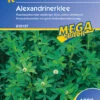 Alexandrinerklee (1 Kg) | Gründünger Von Kiepenkerl -Geschäft Für Pflanzensamenbedarf 528743 Alexandrinerklee 1 kg 615137 0