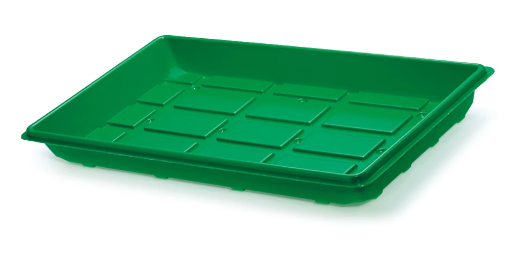 50 X 32 X 6 Cm Pikier- Und Anzuchtschale (grün) | Pikier- Und Anzuchtschale Von Romberg 3 50 X 32 X 6 Cm Pikier- Und Anzuchtschale (grün) | Pikier- Und Anzuchtschale Von Romberg