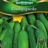 Einlegegurke Hokus | Einlegegurkensamen Von Quedlinburger 2 Einlegegurke Hokus | Einlegegurkensamen Von Quedlinburger -Geschäft Für Pflanzensamenbedarf 531942 Einlegegurken Hokus von Quedlinburger Saatg