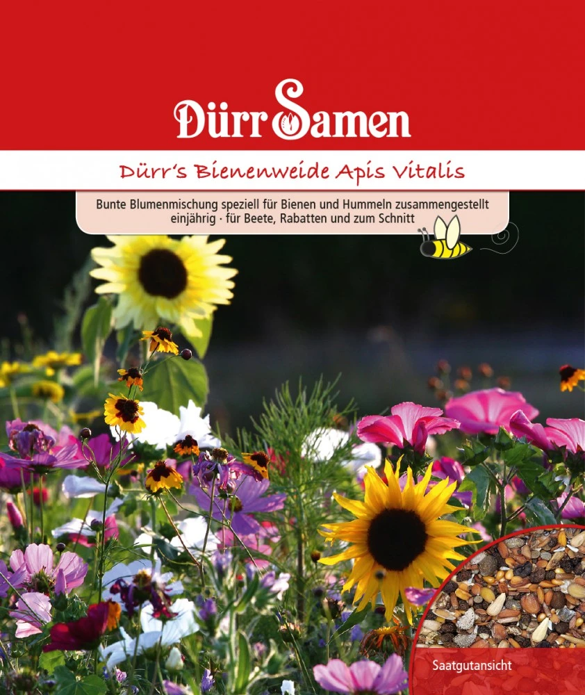 Bienen- Und Hummelweide Apis Vitalis 25 M² | Blumensamen Von Dürr Samen 4 Bienen- Und Hummelweide Apis Vitalis 25 M² | Blumensamen Von Dürr Samen – Bild 2