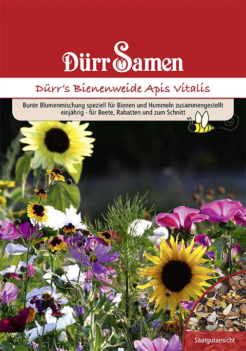 Bienen- Und Hummelweide Apis Vitalis 50 M² | Blumensamen Von Dürr Samen 3 Bienen- Und Hummelweide Apis Vitalis 50 M² | Blumensamen Von Dürr Samen