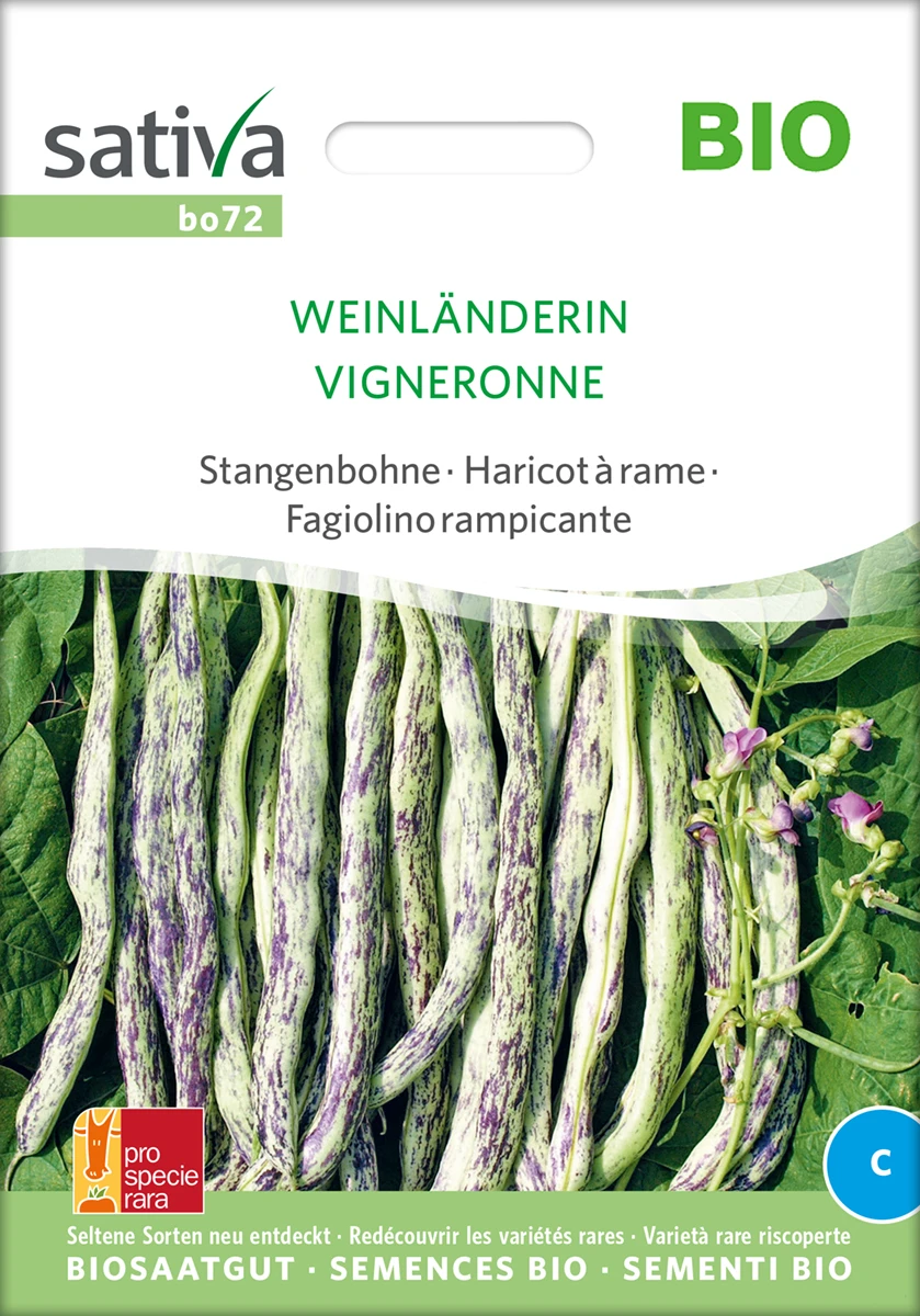 Stangenbohne Weinländerin | BIO Stangenbohnensamen Von Sativa Rheinau 4 Stangenbohne Weinländerin | BIO Stangenbohnensamen Von Sativa Rheinau – Bild 2