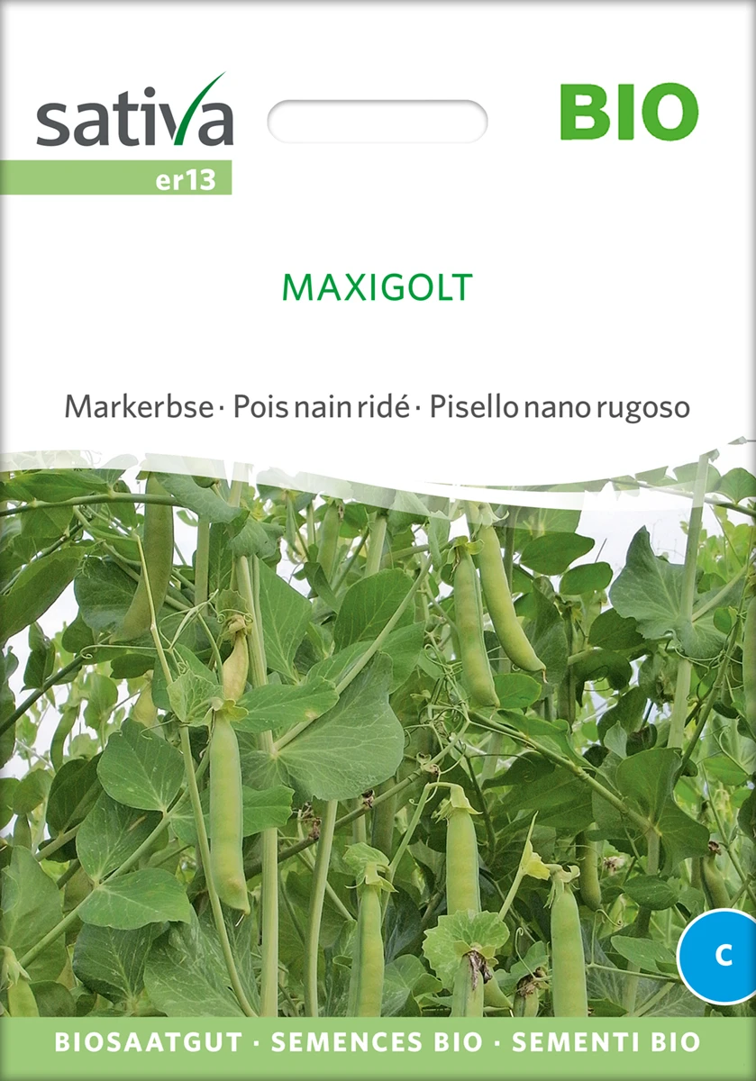 Markerbse Maxigolt | BIO Markerbsensamen Von Sativa Rheinau 3 Markerbse Maxigolt | BIO Markerbsensamen Von Sativa Rheinau
