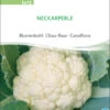Blumenkohl Neckarperle | BIO Blumenkohlsamen Von Sativa Rheinau 1 Blumenkohl Neckarperle | BIO Blumenkohlsamen Von Sativa Rheinau -Geschäft Für Pflanzensamenbedarf 534350 BIO Blumenkohl Neckarperle ko12 sr 0