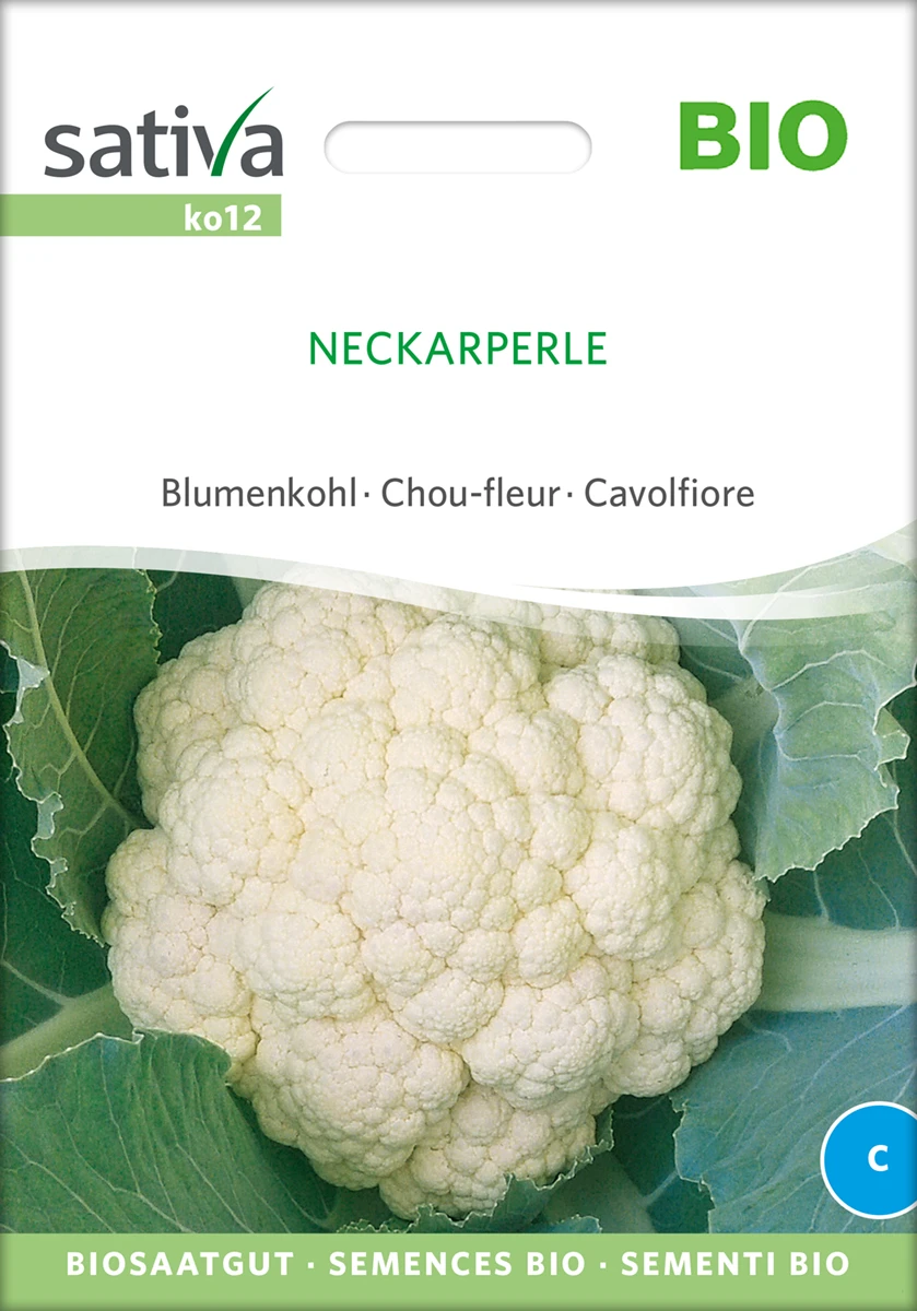 Blumenkohl Neckarperle | BIO Blumenkohlsamen Von Sativa Rheinau 3 Blumenkohl Neckarperle | BIO Blumenkohlsamen Von Sativa Rheinau