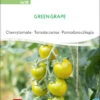 Cherrytomate Green Grape | BIO Kirschtomatensamenvon Sativa Rheinau -Geschäft Für Pflanzensamenbedarf 534563 BIO Cherrytomate Green Grape to18 sr 0