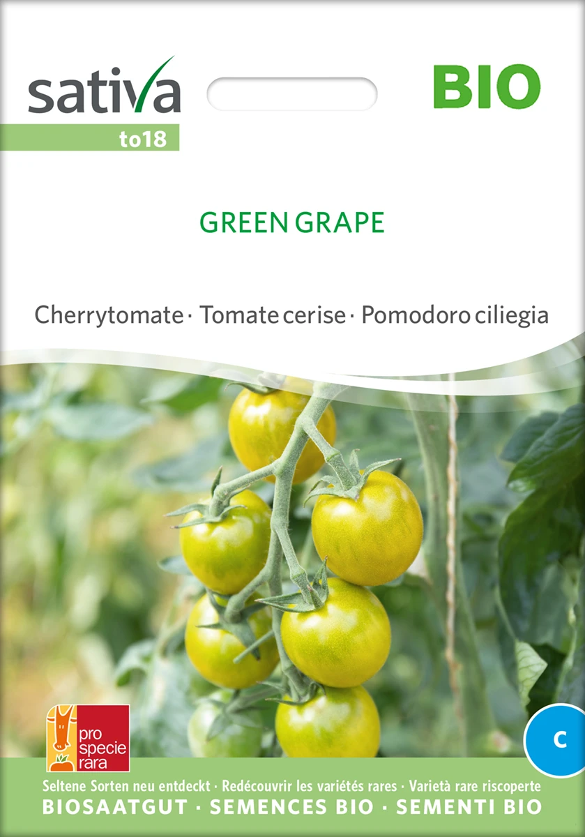 Cherrytomate Green Grape | BIO Kirschtomatensamenvon Sativa Rheinau 3 Cherrytomate Green Grape | BIO Kirschtomatensamenvon Sativa Rheinau
