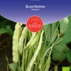 Buschbohne Capitano | BIO Buschbohnensamen Von De Bolster