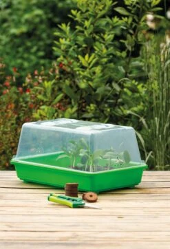 Gewächshaus M | Zimmergewächshaus Von Romberg -Geschäft Für Pflanzensamenbedarf 535231 Gewaechshaus M 10094102 2