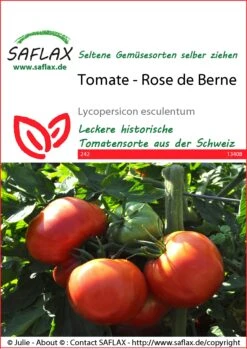 Tomate Rose De Berne | Tomatensamen Von Saflax -Geschäft Für Pflanzensamenbedarf 535609 Tomate Rose de Berne 13408 sa 0