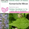 Koreanische Minze | Minzesamen Von Saflax 1 Koreanische Minze | Minzesamen Von Saflax -Geschäft Für Pflanzensamenbedarf 535679 Koreanische Minze 17506 sa 0