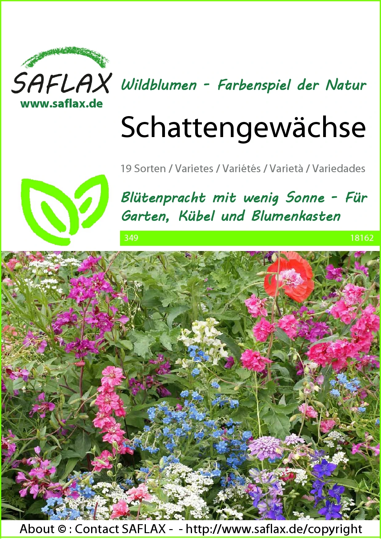 Blumenwiese Schattengewächse | Wildblumenwiese Von Saflax 3 Blumenwiese Schattengewächse | Wildblumenwiese Von Saflax