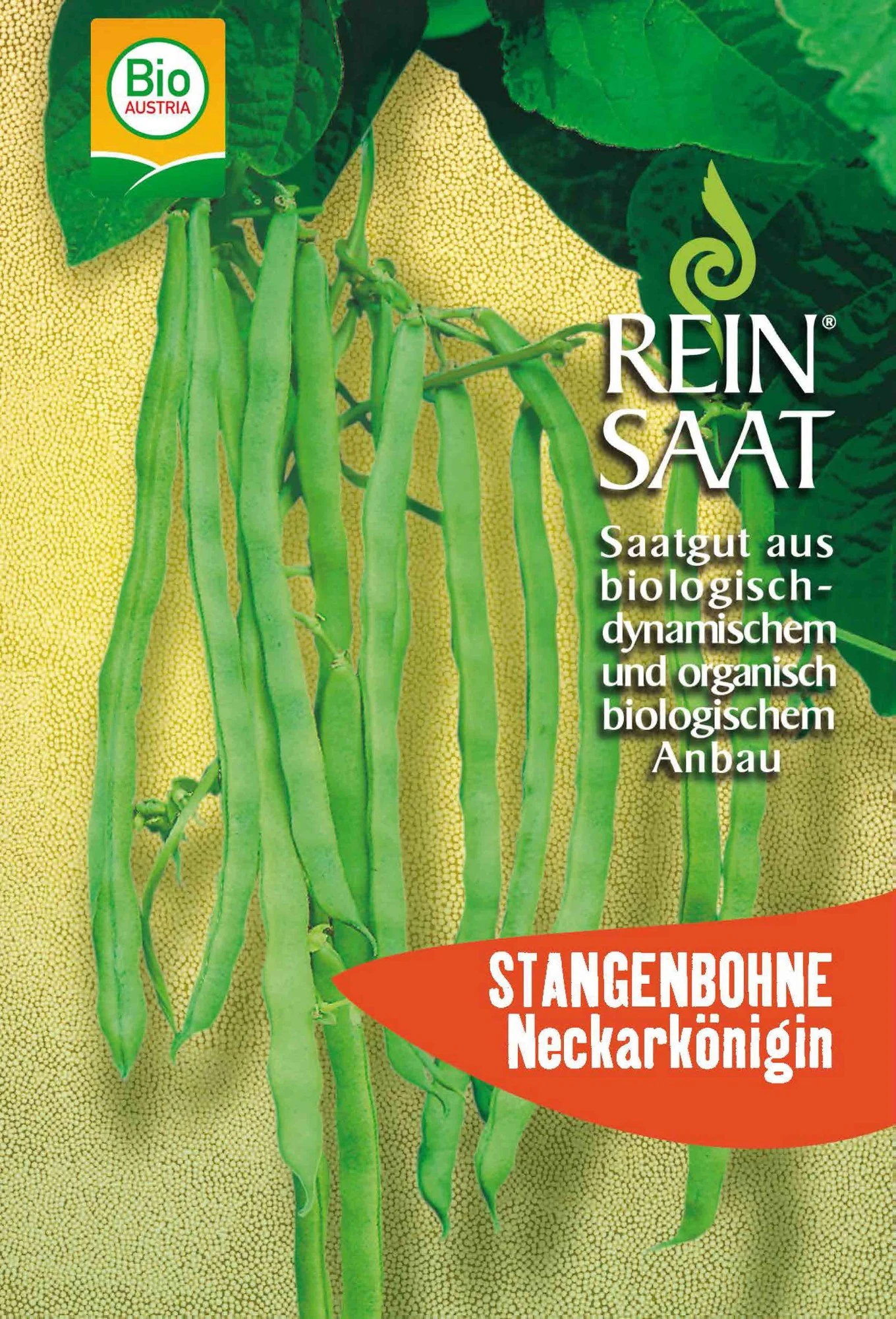 Stangenbohne Neckarkönigin | BIO Stangenbohnensamen Von Reinsaat 3 Stangenbohne Neckarkönigin | BIO Stangenbohnensamen Von Reinsaat