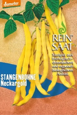 Stangenbohne Neckargold | BIO Stangenbohnensamen Von Reinsaat