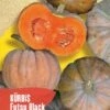 Kürbis Futsu Black | BIO Kürbissamen Von Reinsaat 1 Kürbis Futsu Black | BIO Kürbissamen Von Reinsaat -Geschäft Für Pflanzensamenbedarf 535750 BIO Kuerbis Futsu Black Kue24 rs 0