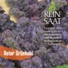 Grünkohl Roter Grünkohl | BIO Grünkohlsamen Von Reinsaat -Geschäft Für Pflanzensamenbedarf 535766 BIO Gruenkohl Roter Gruenkohl CV100 rs 0