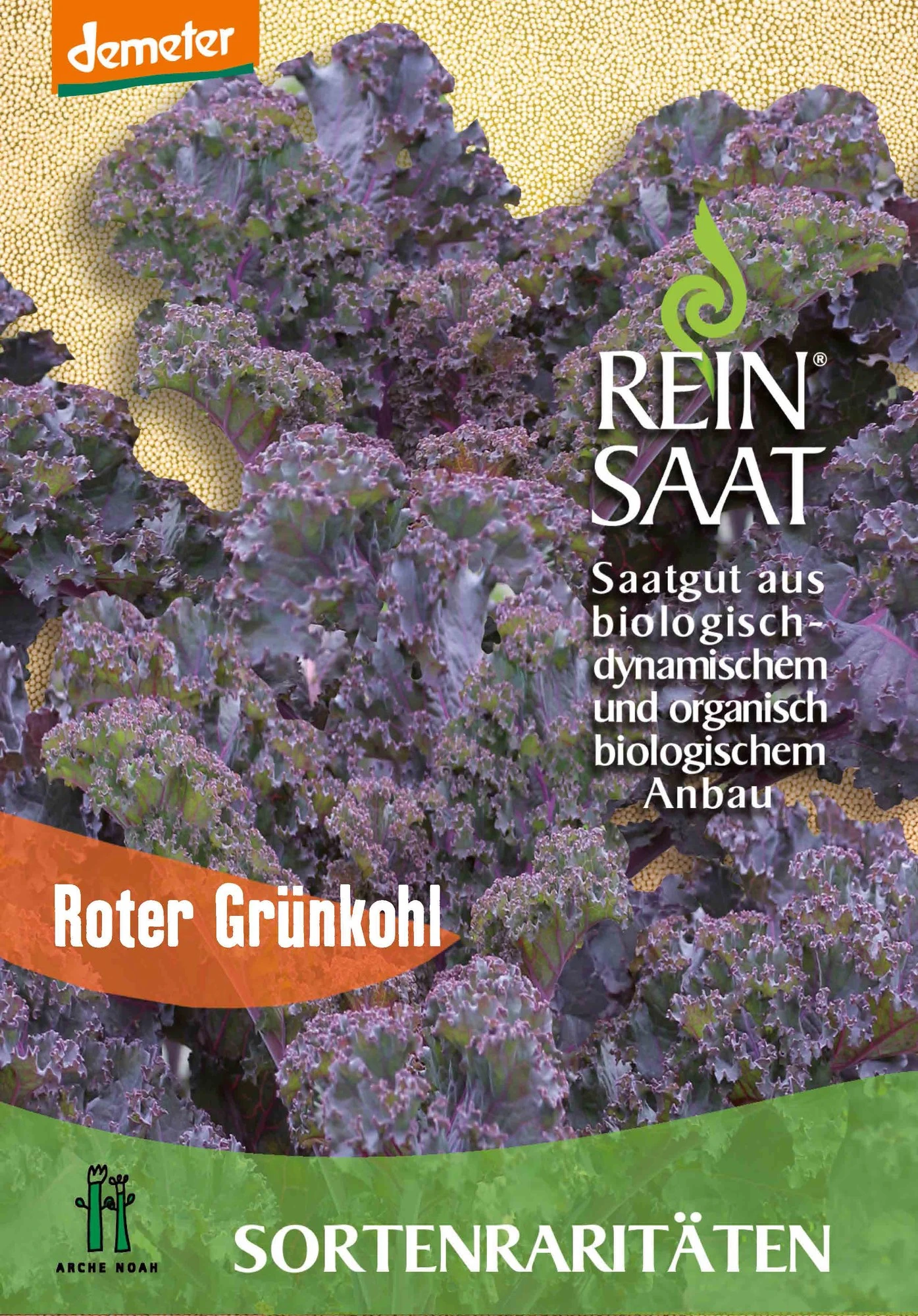 Grünkohl Roter Grünkohl | BIO Grünkohlsamen Von Reinsaat 3 Grünkohl Roter Grünkohl | BIO Grünkohlsamen Von Reinsaat
