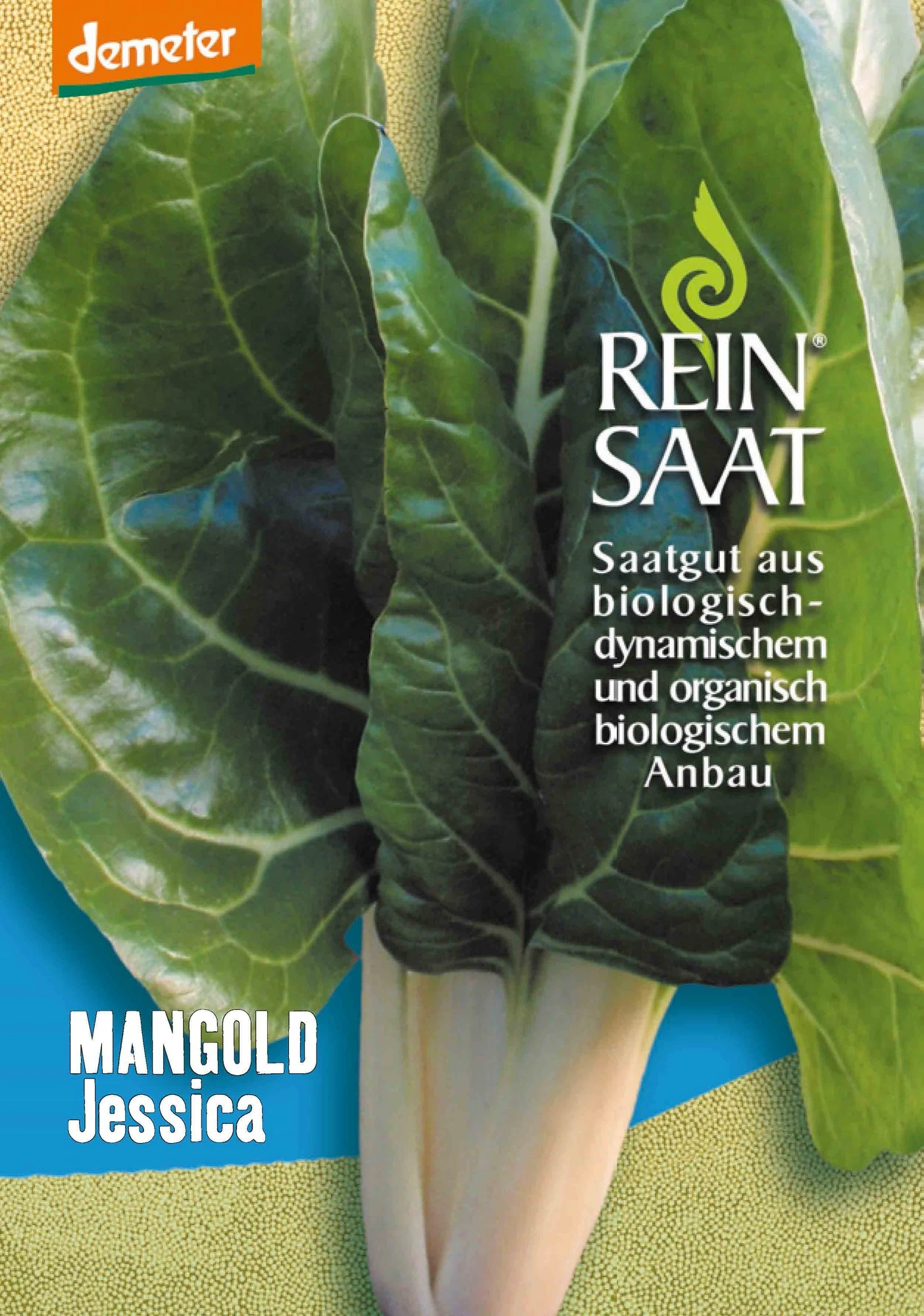Mangold Jessica | BIO Mangoldsamen Von Reinsaat 3 Mangold Jessica | BIO Mangoldsamen Von Reinsaat