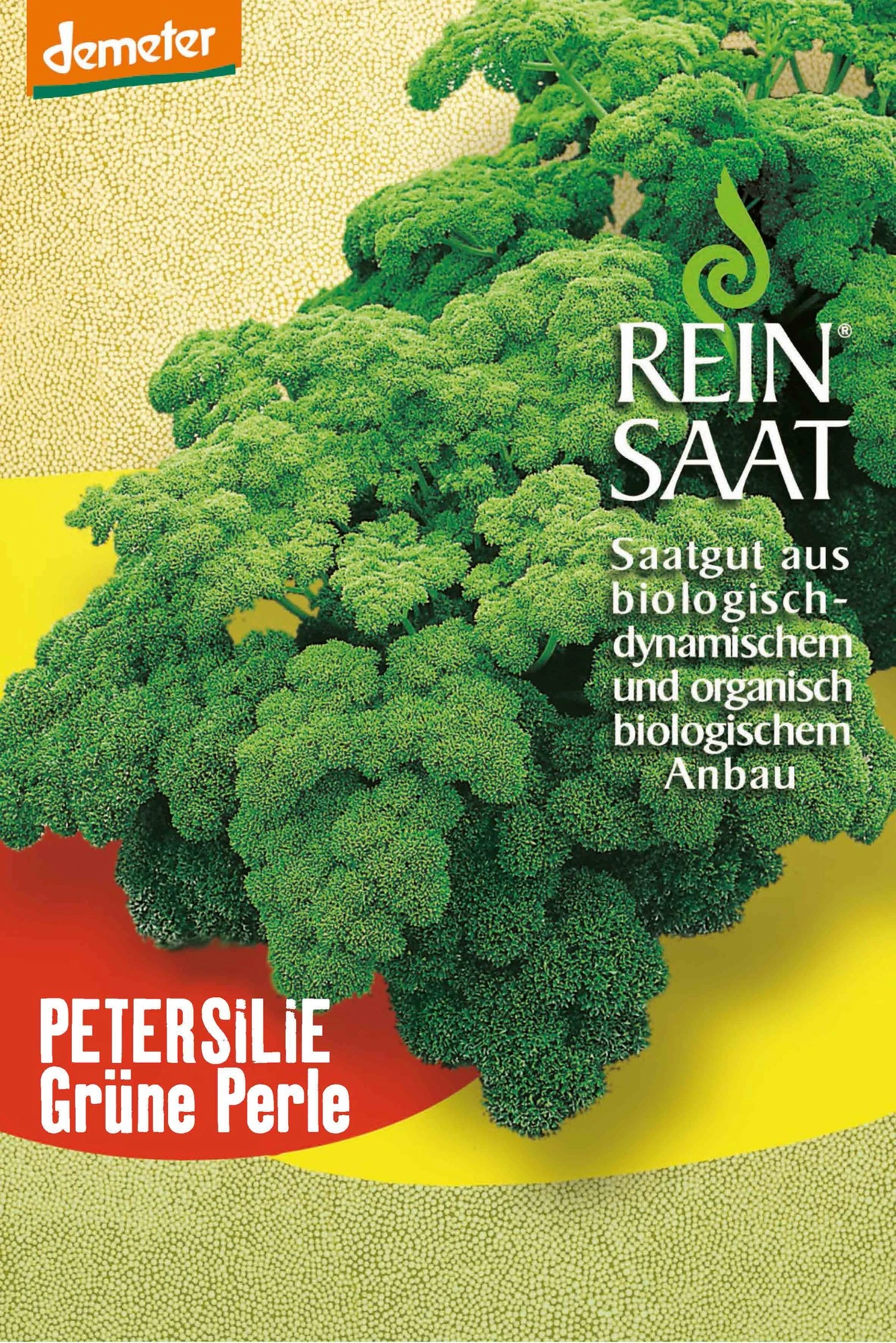 Petersilie Grüne Perle | BIO Petersiliensamen Von Reinsaat 3 Petersilie Grüne Perle | BIO Petersiliensamen Von Reinsaat