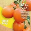 Salattomate Auriga | BIO Kirschtomatensamen Von Reinsaat -Geschäft Für Pflanzensamenbedarf 535855 BIO Salattomate Auriga CV38 rs 0