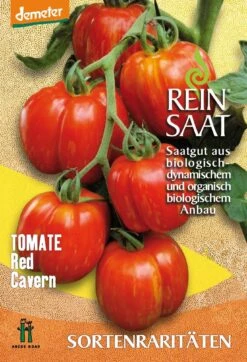 Salattomate Red Cavern | BIO Stabtomatensamen Von Reinsaat