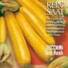 Zucchini Gold Rush | BIO Zucchinisamen Von Reinsaat 1 Zucchini Gold Rush | BIO Zucchinisamen Von Reinsaat -Geschäft Für Pflanzensamenbedarf 535883 BIO Zucchini Gold Rush Zu25 rs 0