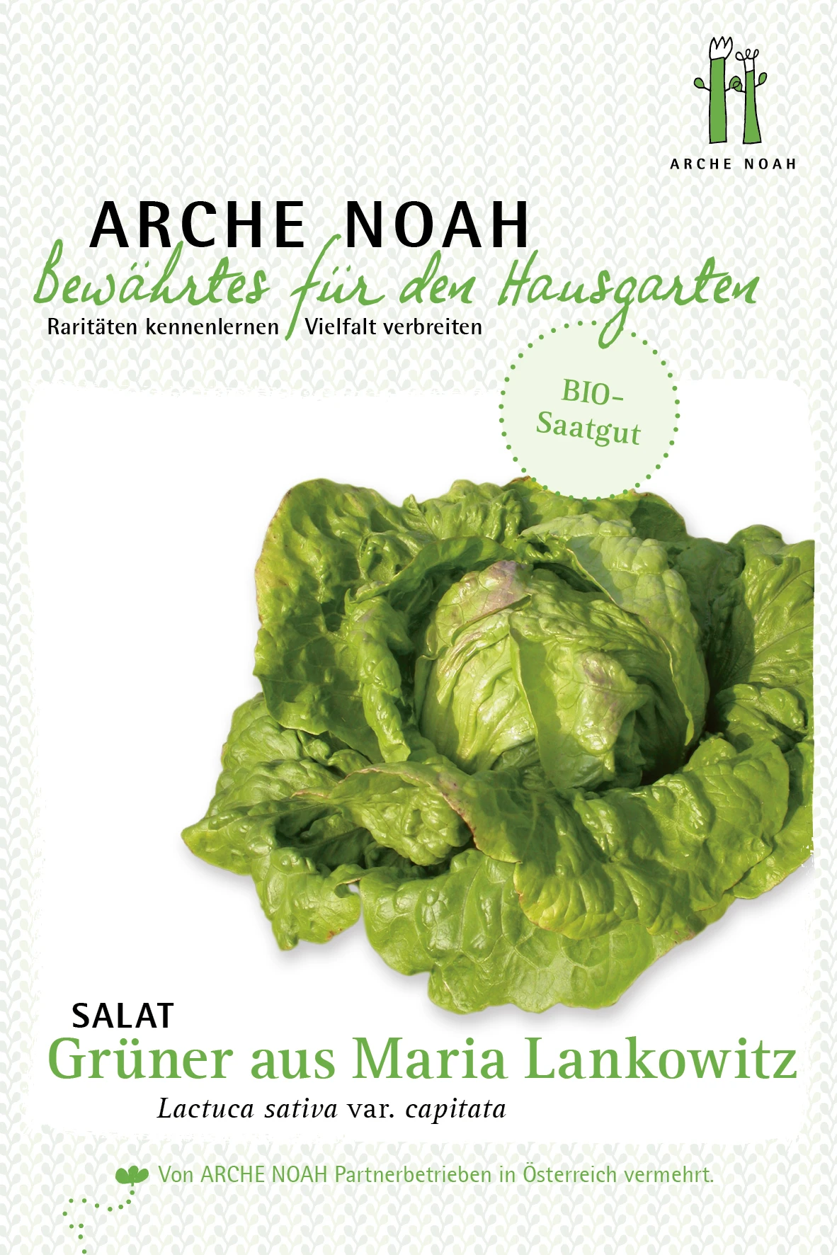 Krachsalat Grüner Aus Maria Lankowitz | BIO Salatsamen Von Arche Noah 3 Krachsalat Grüner Aus Maria Lankowitz | BIO Salatsamen Von Arche Noah