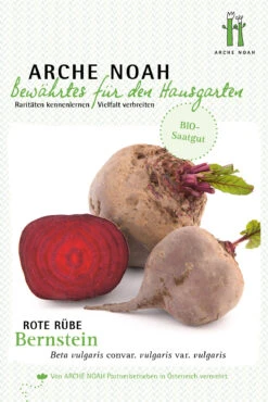 Rote Rübe Bernstein | BIO Rübensamen Von Arche Noah