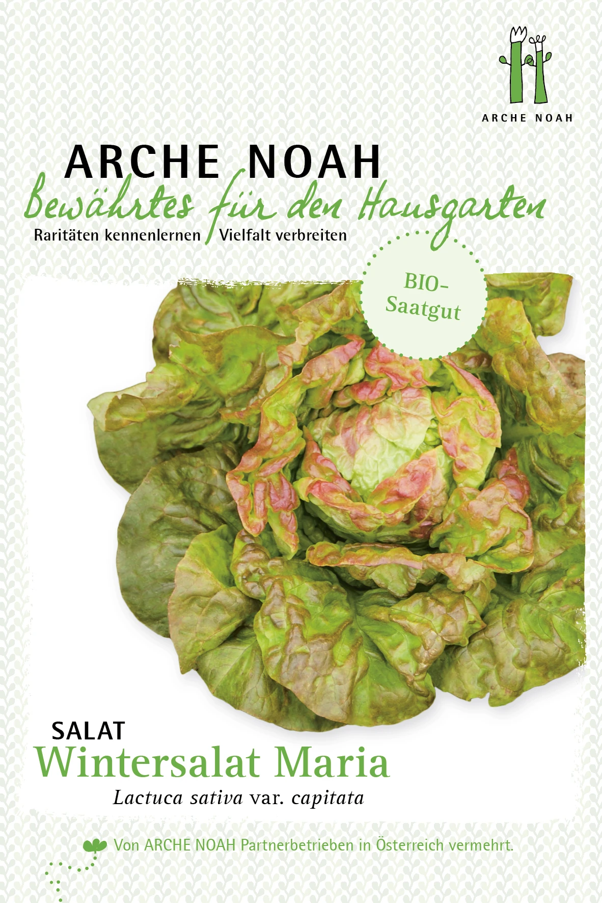 Salat Wintermarie | BIO Salatsamen Von Arche Noah 3 Salat Wintermarie | BIO Salatsamen Von Arche Noah
