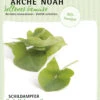 Schildampfer | BIO Schildampfersamen Von Arche Noah -Geschäft Für Pflanzensamenbedarf 536988 Schildampfer HG111