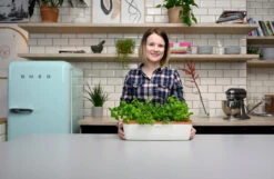 BoQube Gewächshaus &amp; Pflanzkasten L Creme-kupfer | Zimmergewächshäuser Von Romberg -Geschäft Für Pflanzensamenbedarf 539701 BoQube Gewaechshaus Farbe creme kupferg 8