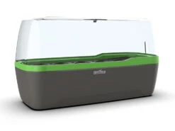 BoQube Gewächshaus &amp; Pflanzkasten L Anthrazit-grün | Zimmergewächshäuser Von Romberg -Geschäft Für Pflanzensamenbedarf 539702 BoQube Gewaechshaus Farbe anthrazit gru 4