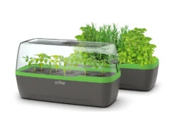 BoQube Gewächshaus &amp; Pflanzkasten L Anthrazit-grün | Zimmergewächshäuser Von Romberg -Geschäft Für Pflanzensamenbedarf 539702 BoQube Gewaechshaus Farbe anthrazit gru 5