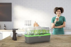 BoQube Gewächshaus &amp; Pflanzkasten L Anthrazit-grün | Zimmergewächshäuser Von Romberg -Geschäft Für Pflanzensamenbedarf 539702 BoQube Gewaechshaus Farbe anthrazit gru 6