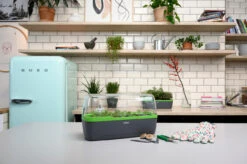 BoQube Gewächshaus &amp; Pflanzkasten L Anthrazit-grün | Zimmergewächshäuser Von Romberg -Geschäft Für Pflanzensamenbedarf 539702 BoQube Gewaechshaus Farbe anthrazit gru 7