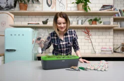 BoQube Gewächshaus &amp; Pflanzkasten L Anthrazit-grün | Zimmergewächshäuser Von Romberg -Geschäft Für Pflanzensamenbedarf 539702 BoQube Gewaechshaus Farbe anthrazit gru 8