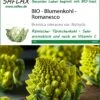 Blumenkohl Romanesco | BIO Blumenkohlsamen Von Saflax 2 Blumenkohl Romanesco | BIO Blumenkohlsamen Von Saflax -Geschäft Für Pflanzensamenbedarf 540111 Bio Blumenkohl Romanesco 18661 sa 0