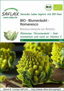 Blumenkohl Romanesco | BIO Blumenkohlsamen Von Saflax