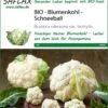 Blumenkohl Schneeball | BIO Blumenkohlsamen Von Saflax 2 Blumenkohl Schneeball | BIO Blumenkohlsamen Von Saflax -Geschäft Für Pflanzensamenbedarf 540112 Bio Blumenkohl Schneeball 18662 sa 0