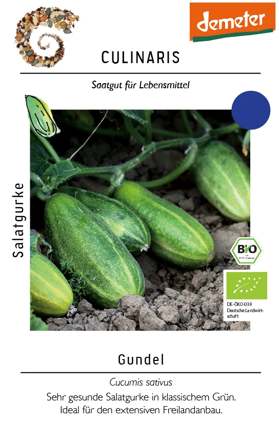 Salatgurke Gundel (GU-7632) | BIO Salatgurkensamen Von Culinaris 3 Salatgurke Gundel (GU-7632) | BIO Salatgurkensamen Von Culinaris