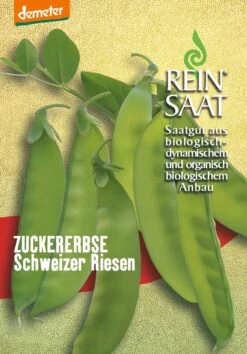 Zuckererbse Schweizer Riesen | BIO Zuckererbsensamen Von Reinsaat
