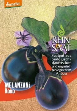 Aubergine Kono | BIO Auberginensamen Von Reinsaat