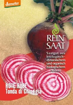 Rote Rübe Tonda Di Chioggia | BIO Rote Beetesamen Von Reinsaat