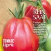 Tomate Liguria | BIO Fleischtomatensamen Von Reinsaat 2 Tomate Liguria | BIO Fleischtomatensamen Von Reinsaat -Geschäft Für Pflanzensamenbedarf 540539 BIO Tomate Liguria To38 rs 0