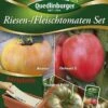Riesen-/ Fleischtomaten Set (Saatplatte) | Tomatensamen Von Quedlinburger 1 Riesen-/ Fleischtomaten Set (Saatplatte) | Tomatensamen Von Quedlinburger -Geschäft Für Pflanzensamenbedarf 542617 Riesen Fleischtomaten Set Saatplatte